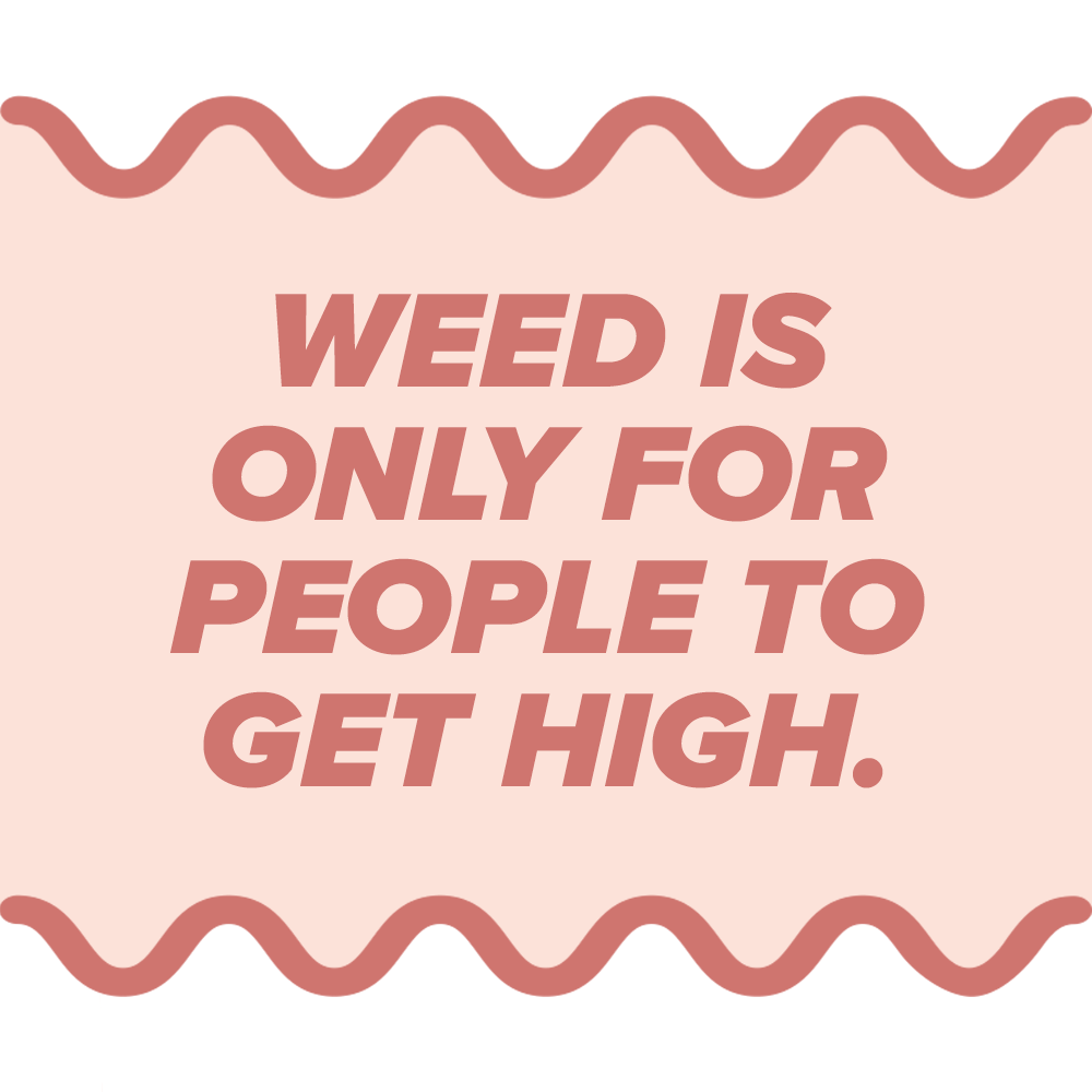 weedisonlyforpeopletogethigh.png