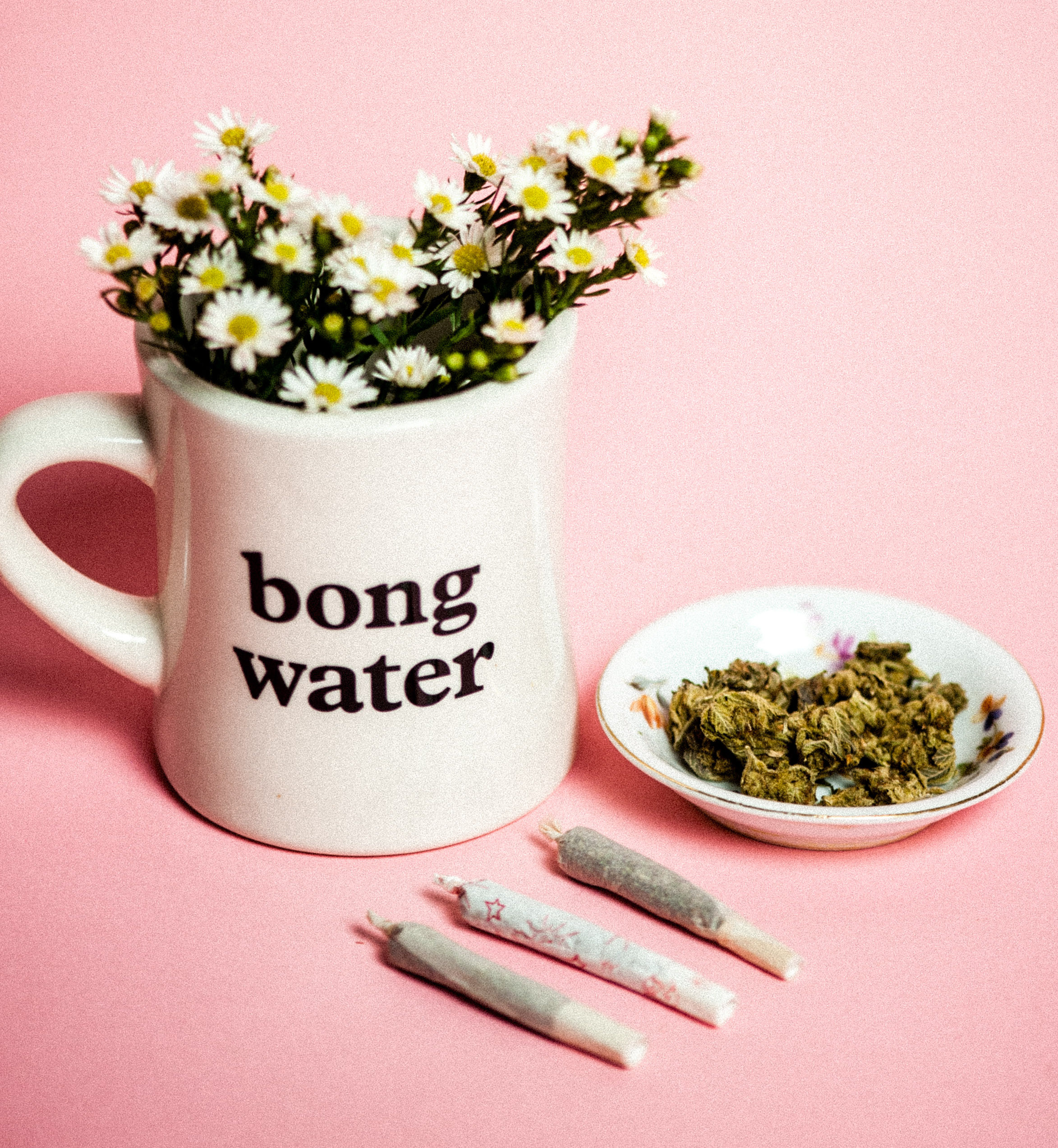 Weed Gifts under $50