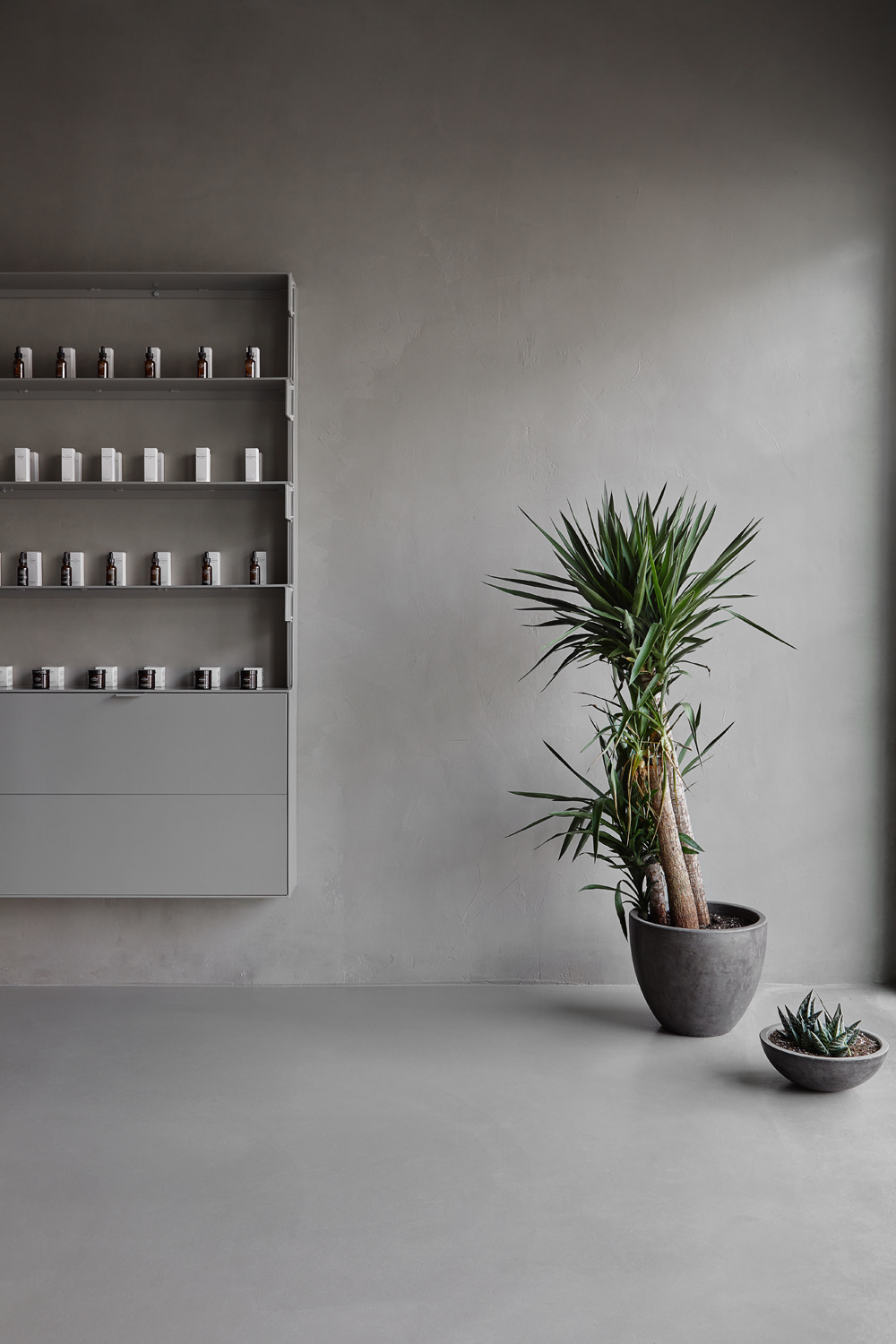 WTF Are Terps? ¯\_(ツ)_/¯