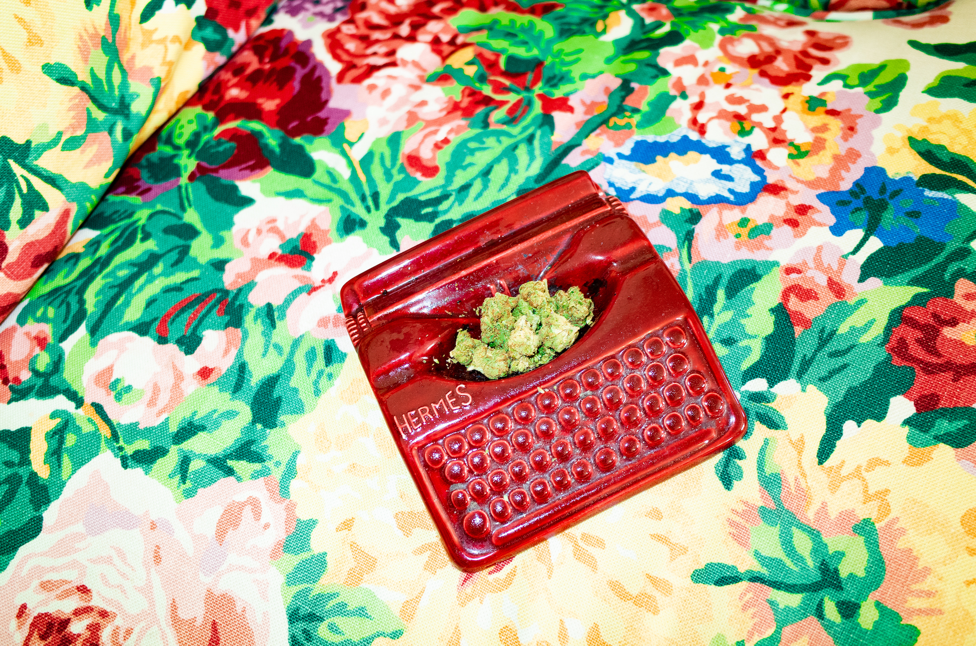 Nice Times with Caroline Goldfarb ✨