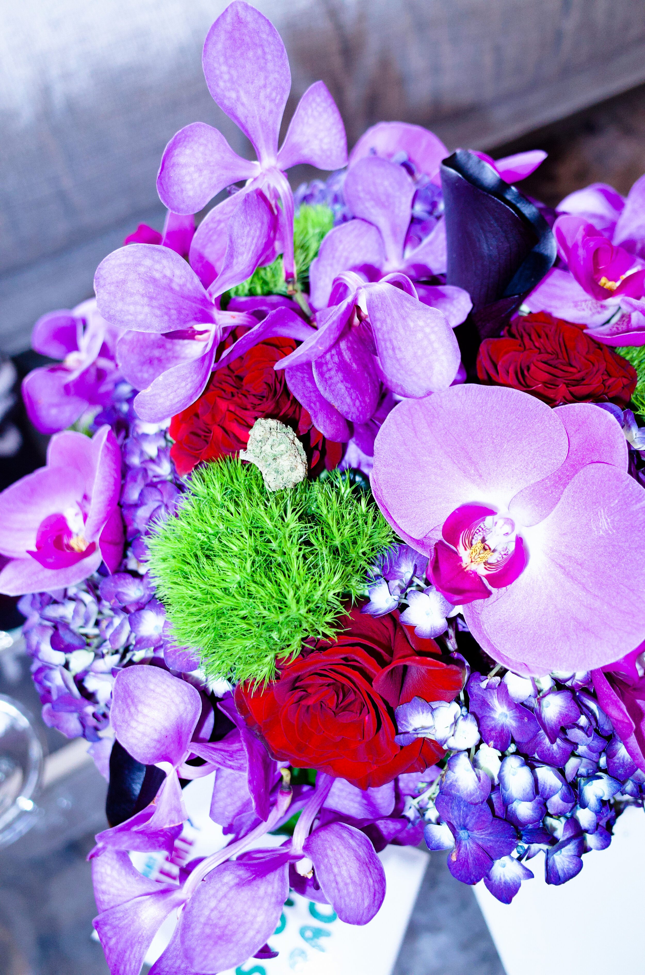 How an Instagram Algorithm Change Created This Empire